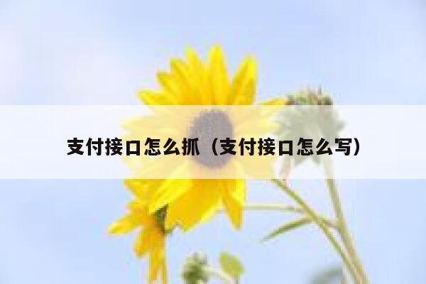 支付接口怎么抓（支付接口怎么写） 第1张