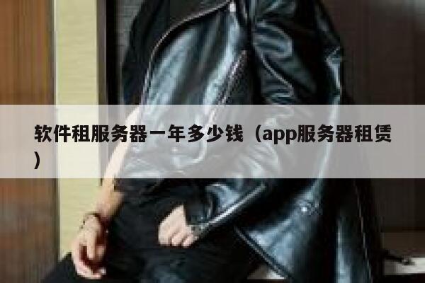 软件租服务器一年多少钱（app服务器租赁） 第1张