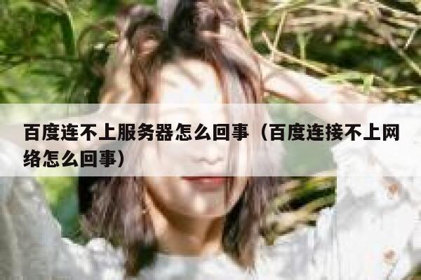 百度连不上服务器怎么回事（百度连接不上网络怎么回事） 第1张