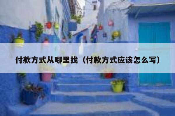 付款方式从哪里找（付款方式应该怎么写） 第1张