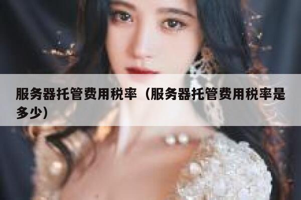 服务器托管费用税率（服务器托管费用税率是多少） 第1张