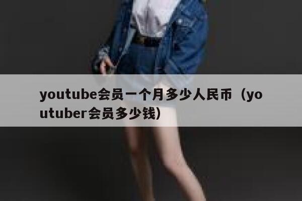 youtube会员一个月多少人民币（youtuber会员多少钱） 第1张