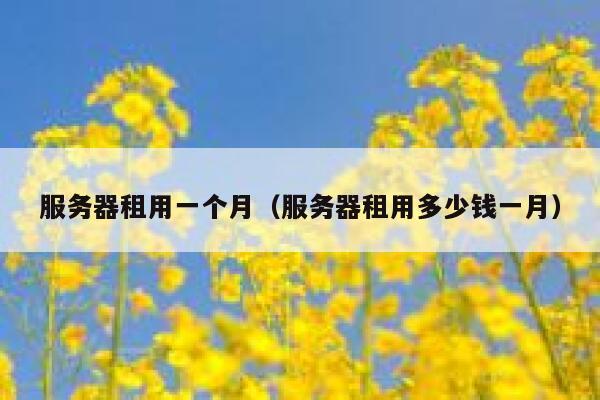 服务器租用一个月（服务器租用多少钱一月） 第1张