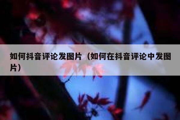 如何抖音评论发图片（如何在抖音评论中发图片） 第1张