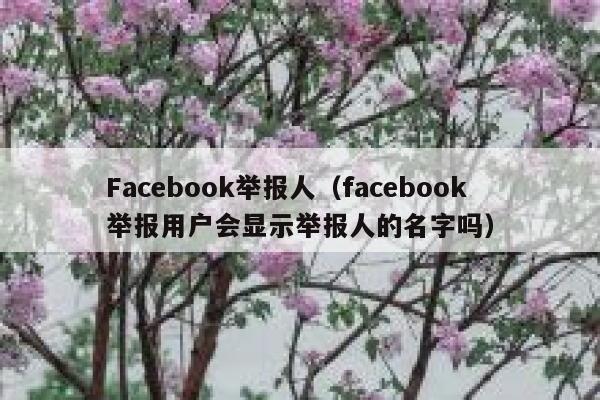 Facebook举报人（facebook举报用户会显示举报人的名字吗） 第1张