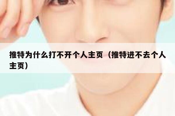 推特为什么打不开个人主页（推特进不去个人主页） 第1张