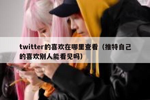twitter的喜欢在哪里查看（推特自己的喜欢别人能看见吗） 第1张