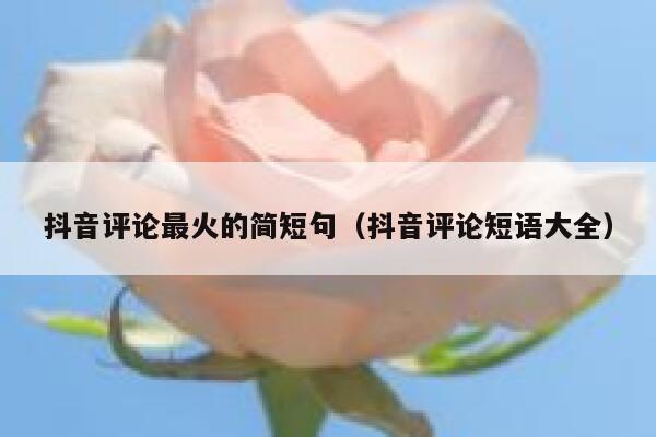 抖音评论最火的简短句（抖音评论短语大全） 第1张