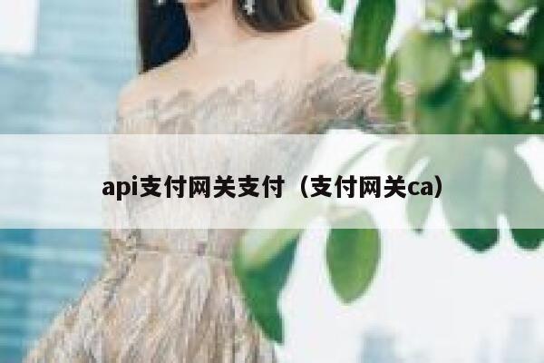api支付网关支付（支付网关ca） 第1张