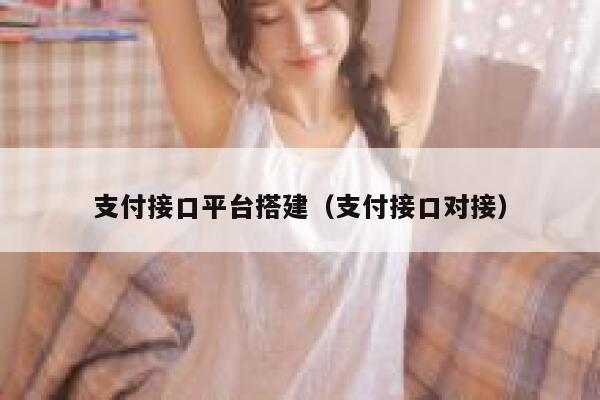 支付接口平台搭建（支付接口对接） 第1张