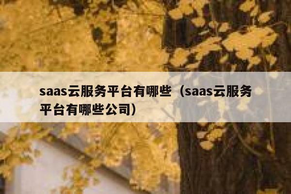 saas云服务平台有哪些（saas云服务平台有哪些公司） 第1张