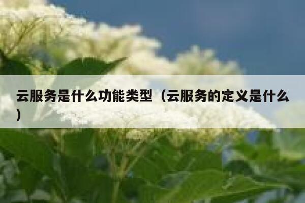 云服务是什么功能类型（云服务的定义是什么） 第1张