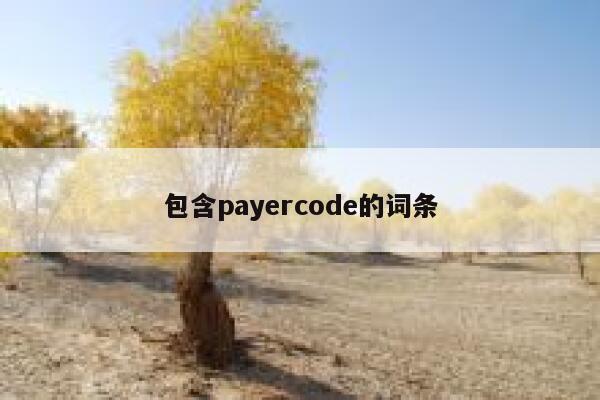 包含payercode的词条 第1张