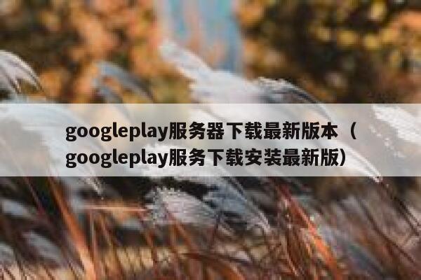 googleplay服务器下载最新版本（googleplay服务下载安装最新版） 第1张