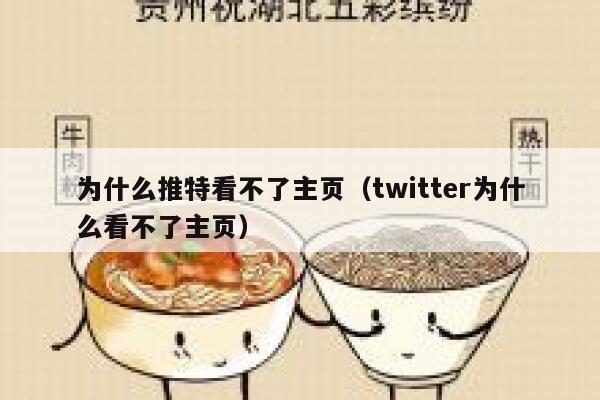 为什么推特看不了主页（twitter为什么看不了主页） 第1张