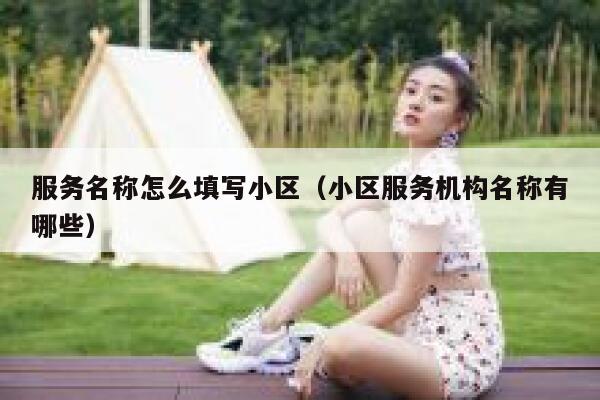 服务名称怎么填写小区（小区服务机构名称有哪些） 第1张