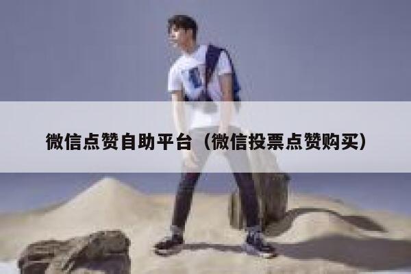 微信点赞自助平台（微信投票点赞购买） 第1张
