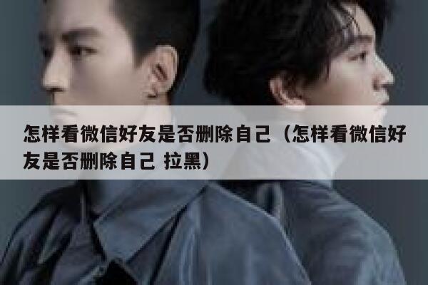怎样看微信好友是否删除自己（怎样看微信好友是否删除自己 拉黑） 第1张