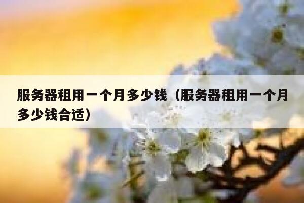 服务器租用一个月多少钱（服务器租用一个月多少钱合适） 第1张