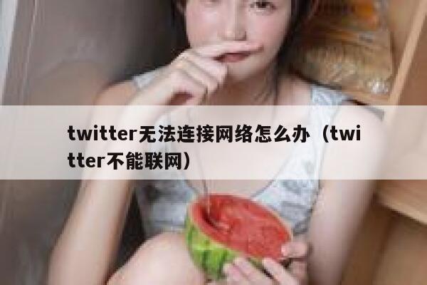 twitter无法连接网络怎么办（twitter不能联网） 第1张