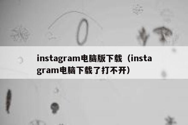 instagram电脑版下载（instagram电脑下载了打不开） 第1张