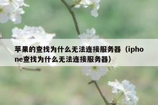 苹果的查找为什么无法连接服务器（iphone查找为什么无法连接服务器） 第1张