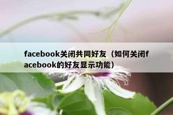 facebook关闭共同好友（如何关闭facebook的好友显示功能） 第1张