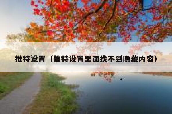推特设置（推特设置里面找不到隐藏内容） 第1张