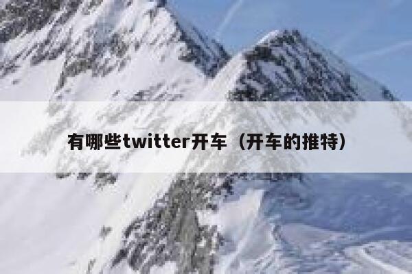 有哪些twitter开车（开车的推特） 第1张