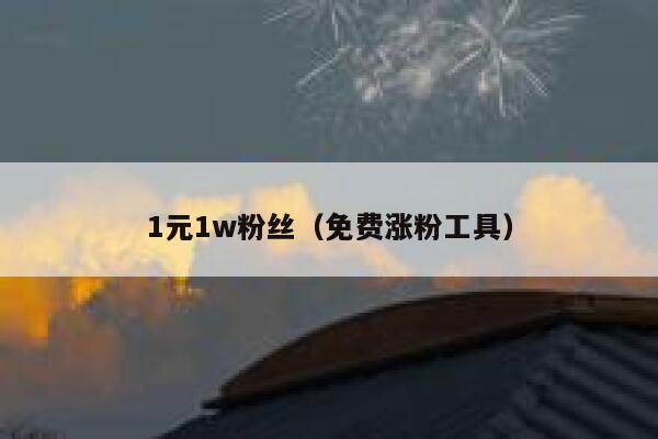 1元1w粉丝（免费涨粉工具） 第1张