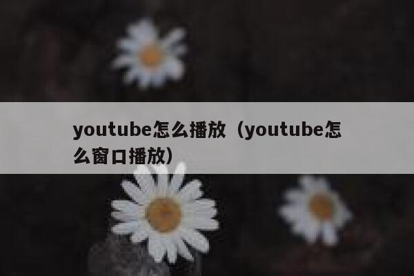 youtube怎么播放（youtube怎么窗口播放） 第1张