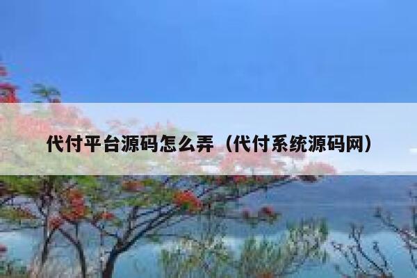 代付平台源码怎么弄（代付系统源码网） 第1张