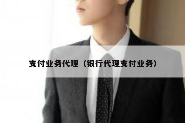支付业务代理（银行代理支付业务） 第1张