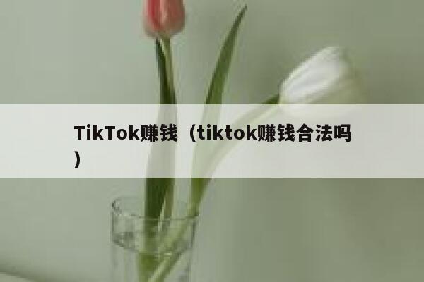 TikTok赚钱（tiktok赚钱合法吗） 第1张