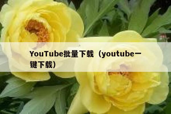 YouTube批量下载（youtube一键下载） 第1张
