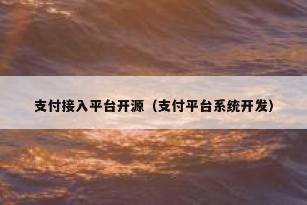 支付接入平台开源（支付平台系统开发） 第1张