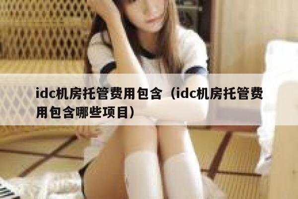 idc机房托管费用包含（idc机房托管费用包含哪些项目） 第1张