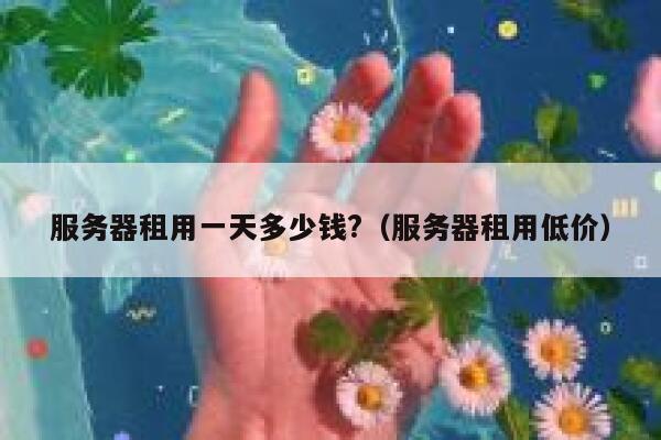 服务器租用一天多少钱?（服务器租用低价） 第1张