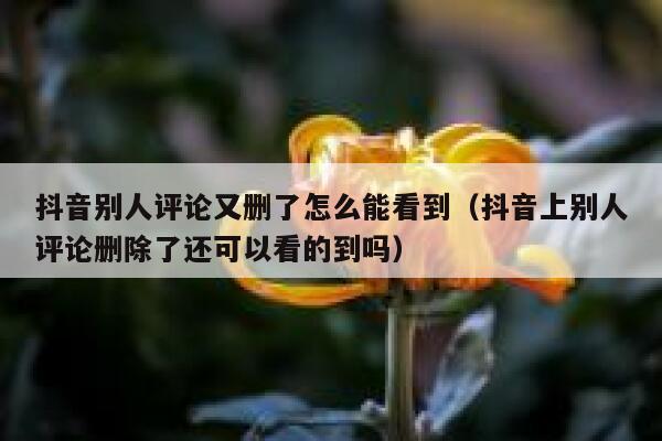 抖音别人评论又删了怎么能看到（抖音上别人评论删除了还可以看的到吗） 第1张