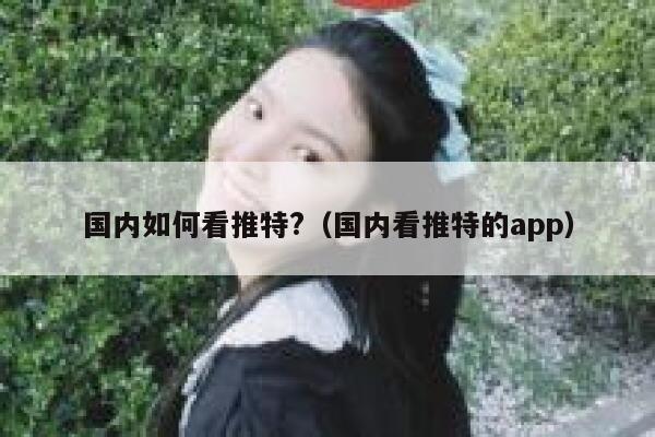 国内如何看推特?（国内看推特的app） 第1张