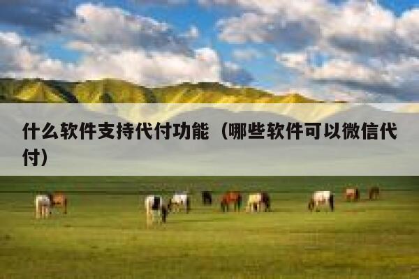 什么软件支持代付功能（哪些软件可以微信代付） 第1张