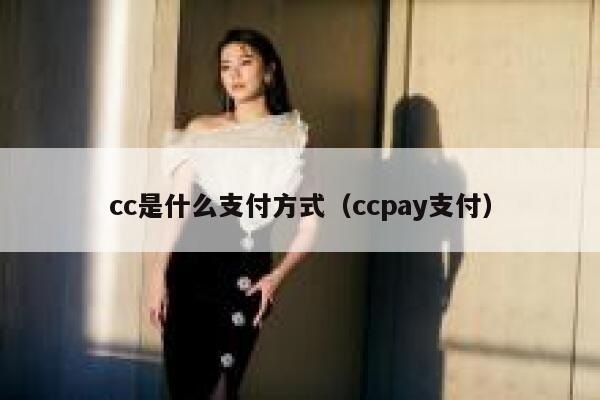 cc是什么支付方式（ccpay支付） 第1张