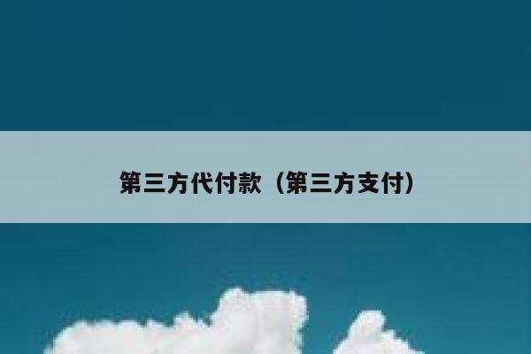 第三方代付款（第三方支付） 第1张