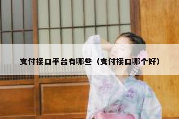 支付接口平台有哪些（支付接口哪个好） 第1张