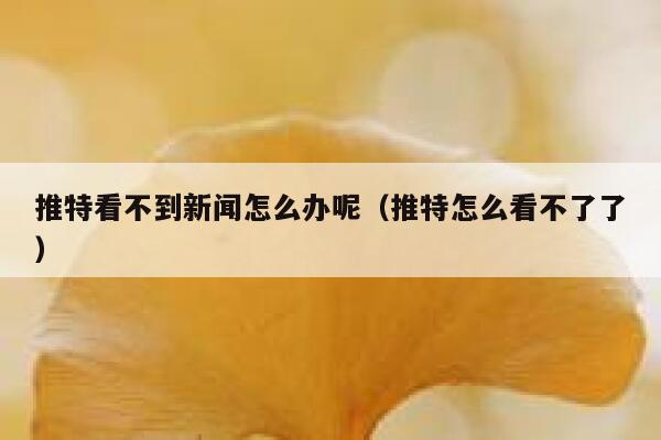 推特看不到新闻怎么办呢（推特怎么看不了了） 第1张