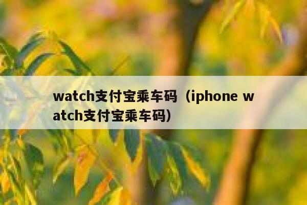 watch支付宝乘车码（iphone watch支付宝乘车码） 第1张