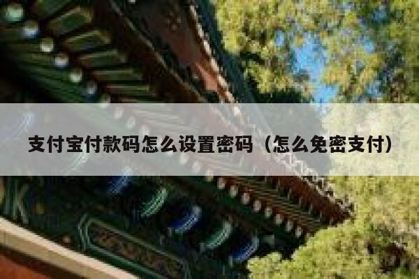 支付宝付款码怎么设置密码（怎么免密支付） 第1张