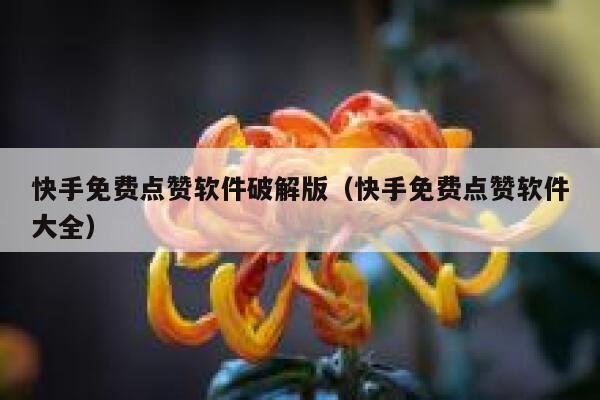 快手免费点赞软件破解版（快手免费点赞软件大全） 第1张