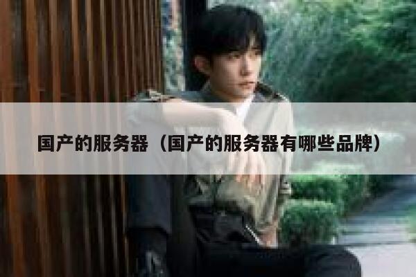 国产的服务器（国产的服务器有哪些品牌） 第1张