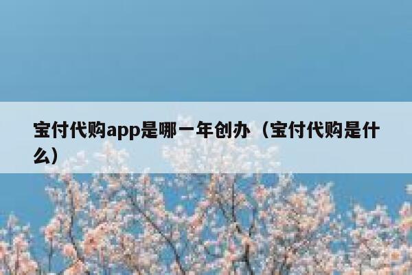 宝付代购app是哪一年创办（宝付代购是什么） 第1张